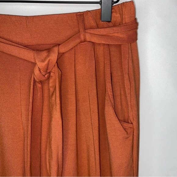 Garnet Hill Women's Easy Knit Terry Pants M Rust Belted Pleated Office Career - Picture 6 of 12